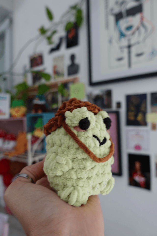 Gérard, le sage | Créature d'atelier grenouille en crochet pleines d'intentions