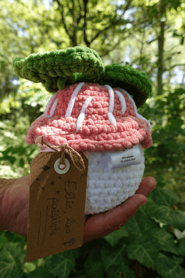 Ellie, lae paisible| Créature d'atelier champifleur en crochet pleines d'intentions