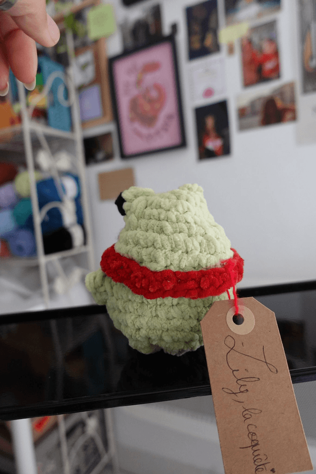 Lily, la coquette | Créature d'atelier grenouille en crochet pleines d'intentions